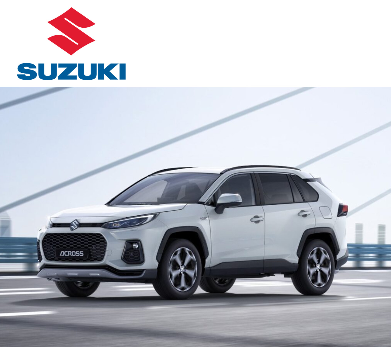suzuki across plug in